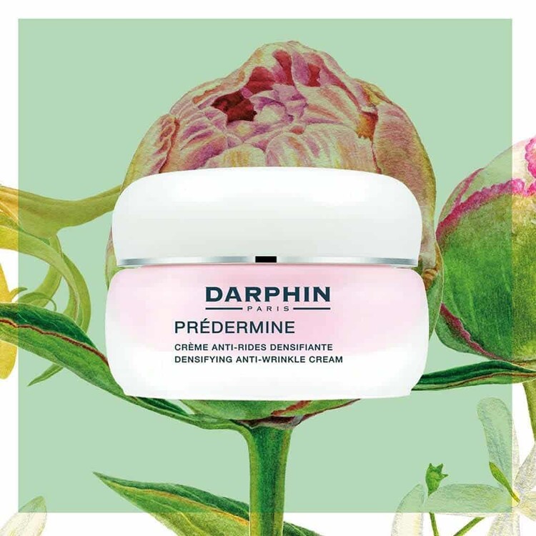 Darphin Predermine Densifying Anti-Wrinkle Cream D