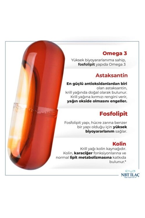 Nbt Krill Oil 30 Kapsül