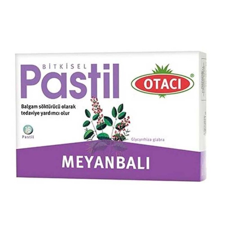 Otacı - Otacı Meyanbalı Pastil 16 Adet