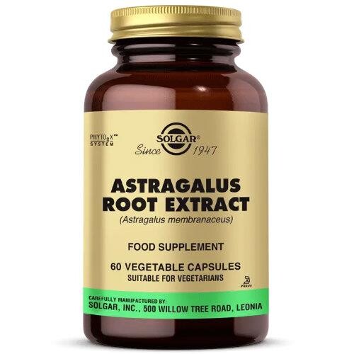 Solgar Astragalus Root Extract 60 Kapsül